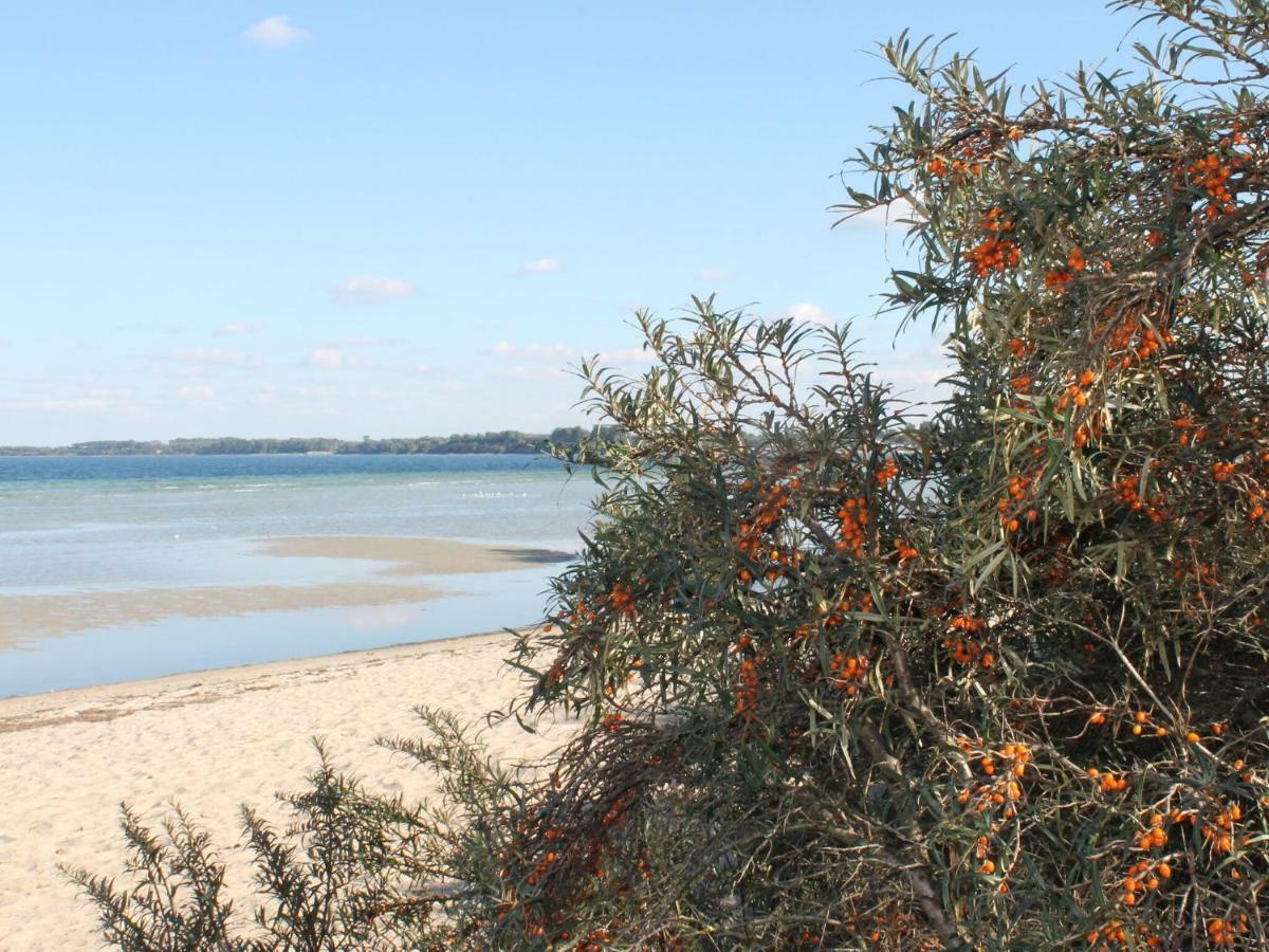 Lovely Bungalow Near Sea In Elmenhorst Kalkhorst Екстериор снимка